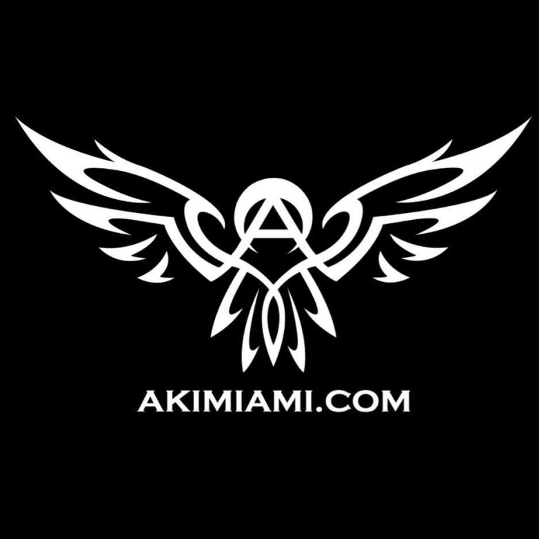 American Karate Institute