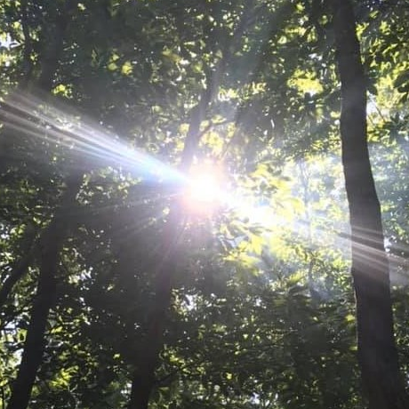 Wild Wood Kids Forest School