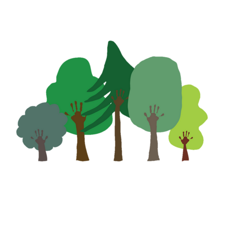 Chelsea Forest School - École en forêt de Chelsea