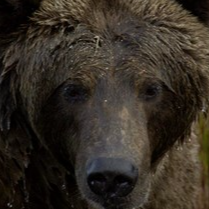 Aniakchak National Monument & Preserve