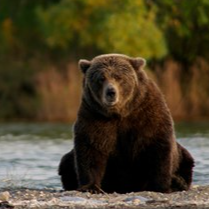 Katmai National Park & Preserve