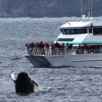 Kenai Fjords National Park