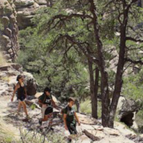 Chiricahua National Monument