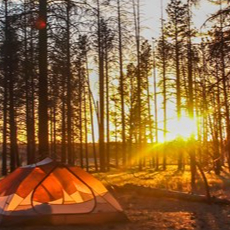Grand Canyon-Parashant National Monument