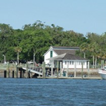 Cumberland Island National Seashore Georgia