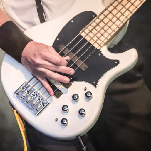 GuitarsGuitarsGuitars